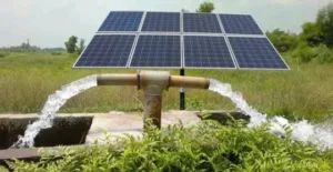 Large-scale solar farm solution by OCRE, designed for maximum energy generation and sustainable agriculture practices.